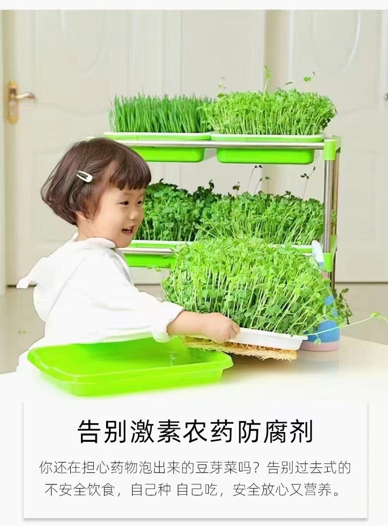 儿童水培种植苗芽菜套装儿童DIY