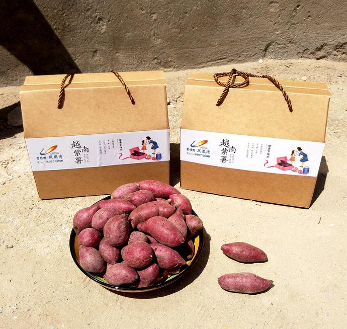 越南紫薯礼盒